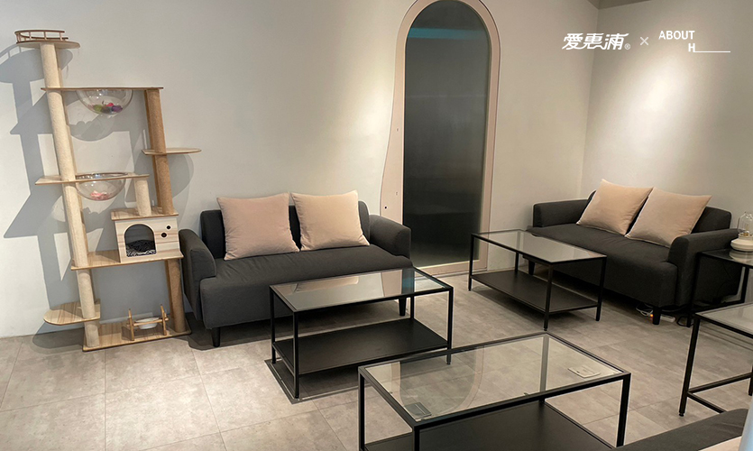 愛惠浦 - 當貓咪遇見千層蛋糕 images